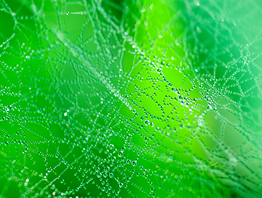 포토 JPG 해외이미지 디자인 계절 백그라운드 잎 패턴 자연 벽지 하늘 추상 사람없음 야외 초록색 빛 햇빛 우주 환경 활발 점 원형 소프트포커스 에코 질감 문학 부드러움 빛망울 광 생태학 엘리먼트 효과 해외202004 해외포토 도형 식물 교육 컬러 컨셉 무늬 촬영기법 태양 감각 생태계 파일형식 이미지허브