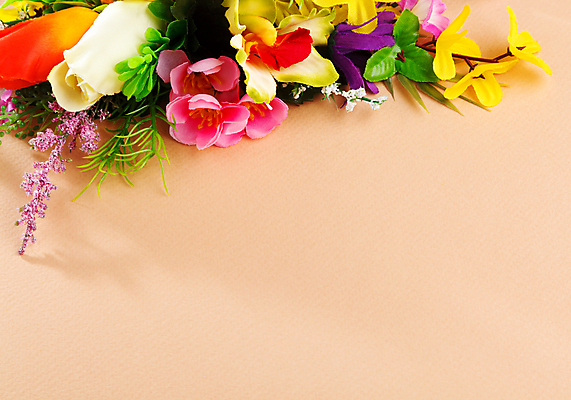 포토 JPG 해외이미지 계절 꽃잎 꽃 종이 결혼 백그라운드 잎 꽃무늬 자연 휴가 프레임 미술 사람없음 장식 파란색 상자 노란색 공백 흰색 축하 인사 신용카드 편지 배열 인공 해외202004 해외포토 식물 컬러 컨셉 무늬 문화예술 이벤트 금융 예절 생태계 파일형식 이미지허브