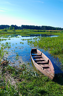 포토 JPG 해외이미지 나무 식물 계절 호수 여행 자연 지팡이 하늘 아침 낚시 휴가 갈대 풍경 사람없음 목재 물 여름 강 일출 봄 수확 만 구멍 보트 홍수 옛날 해외202004 해외포토 주간 자연요소 농업 배_교통 재료 레저 노을 자연재해 생태계 파일형식 이미지허브