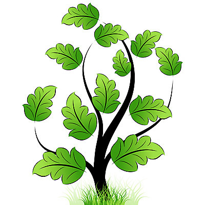 포토 JPG 해외이미지 나무 식물 아이콘 잎 꽃무늬 일러스트 자연 사람없음 초록색 성장 흰색 심볼 사인 싱글 엘리먼트 해외202004 해외포토 꽃 컬러 무늬 생태계 파일형식 이미지허브