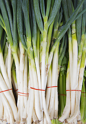 포토 JPG 해외이미지 음식 채소 건강 마늘 사람 사람없음 금지 신선 날것 부추 많음 해외202004 해외포토 컨셉 파일형식 이미지허브