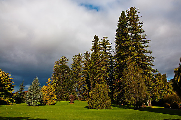 포토 JPG 해외이미지 식물 공원 꽃 길 잎 자연 건조 사람없음 야외 초록색 물 정원 호주 남쪽 해외202004 해외포토 자연요소 공공시설 컬러 오세아니아 방향 생태계 파일형식 이미지허브