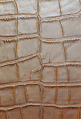 포토 JPG 해외이미지 동물 디자인 옷 산업 백그라운드 패턴 의자 자연 표면 날씨 추상 미술 사람없음 노란색 우주 어둠 줄무늬 수확 골동품 조약돌 직물 얼룩 거친 주름 가죽 유연 피부 질감 복고 날것 부드러움 결 한조각 내추럴 소가죽 숨기 엘리먼트 옛날 울퉁불퉁 카피스페이스 효과 해외202004 해외포토 1 컬러 가구 무늬 농업 모션 문화예술 신체부위 공백 돌_바위 감각 생태계 파일형식 이미지허브