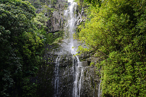 포토 JPG 해외이미지 식물 공원 꽃 섬 잎 꽃무늬 자연 휴가 풍경 사람없음 물 평화 미국 침묵 봄 폭포 가을 개울 떨어짐 숲 위험 큼 하와이 이국적 하와이인 해외202004 해외포토 자연요소 외국인 계절 공공시설 컨셉 북아메리카 무늬 강 소리 크기 생태계 파일형식 이미지허브
