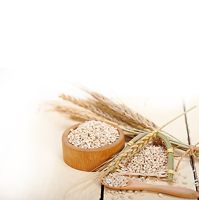 포토 JPG 해외이미지 근접촬영 사람없음 농작물 낟알 보리 보리이삭 해외202004 해외포토 뷰포인트 농업 곡류 이삭 파일형식 이미지허브