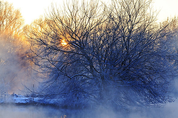 포토 JPG 해외이미지 나무 식물 공원 백그라운드 잎 자연 아침 실내 풍경 사람없음 야외 목재 초록색 여름 빛 햇빛 태양 환경 광선 숲 열대우림 멀리 말레이시아 내추럴 광 깊이 양치류 옛날 해외202004 해외포토 주간 자연요소 계절 공공시설 아시아 컬러 재료 내부 생태계 파일형식 이미지허브