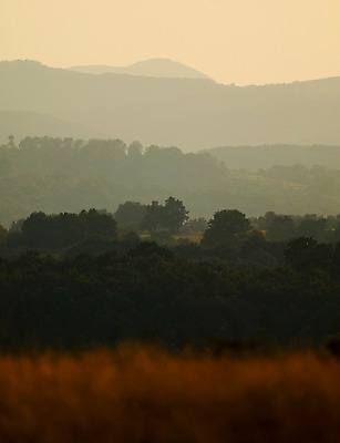 포토 JPG 해외이미지 계절 자연 하늘 산 풍경 사람없음 여름 일몰 시골 숲 해외202004 해외포토 노을 생태계 파일형식 이미지허브