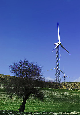 포토 JPG 해외이미지 날개 자연 하늘 바람 풍경 사람없음 초록색 파란색 환경 탑 금속 힘 재활용 행성 발전기 에너지 분위기 선택 목표 언덕 옵션 생태계 역동적 프로펠러 순환 태양에너지 유지 내추럴 생태학 지원 해외202004 해외포토 자연요소 건축물 교육 컬러 컨셉 모션 재질 날씨 우주 발전소 그린에너지 친환경 파일형식 이미지허브