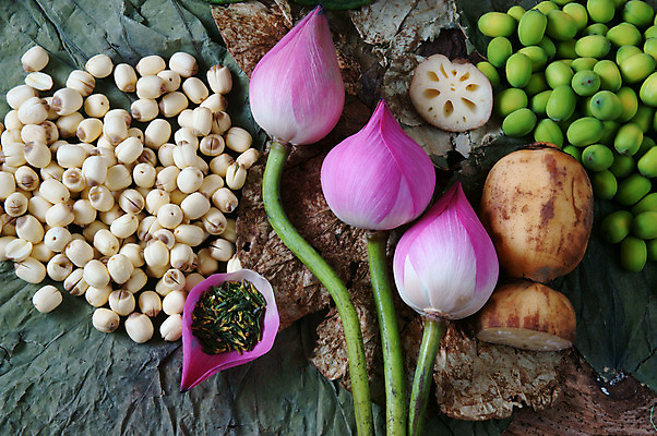 포토 JPG 해외이미지 식물 꽃 아시아 음식 분홍색 백그라운드 잎 꽃무늬 자연 추상 건강 연꽃 씨앗 사람없음 목재 초록색 컬러풀 약 화목 고요 놀람 흰색 잠 차 수집 먹기 허브 베트남 뿌리 건강식 해외202004 해외포토 나무 감정 나라 음료 컬러 컨셉 무늬 재료 의학 모션 표정 동남아시아 생태계 파일형식 이미지허브