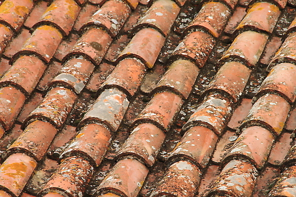 포토 JPG 해외이미지 백그라운드 지붕 이끼 사람없음 빨간색 갈색 회색 골동품 중세 중앙 타일 옛날 해외202004 해외포토 컬러 역사 파일형식 이미지허브