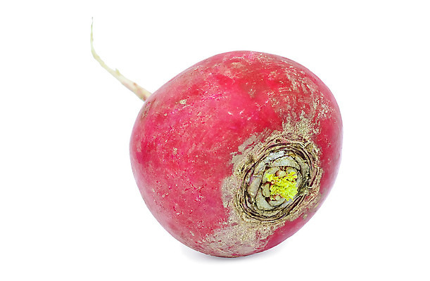 포토 JPG 해외이미지 식물 음식 줄기 백그라운드 농업 다이어트 채소 과일 재료 자연 건강 동양인 사람없음 빨간색 정원 검은색 식사 샐러드 수확 흰색 신선 원형 달콤 맛 정상 큼 청소 허브 채식 날것 뿌리 고드름 내추럴 고립 생태학 숙성 채식주의자 총각무 억울 비건 해외202004 해외포토 도형 교육 감정 산업 컬러 컨셉 인종 얼음 크기 무 생태계 파일형식 이미지허브