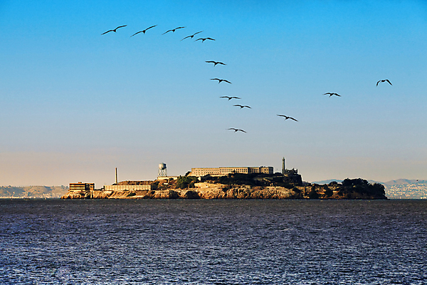 포토 JPG 해외이미지 주간 해외풍경 바다 여러마리 조류 하늘 사람없음 야외 건물 미국 비행 캘리포니아 알카트라스섬 해외202004 해외포토 자연요소 동물 해외 건축물 섬 다수 북아메리카 풍경 파일형식 이미지허브
