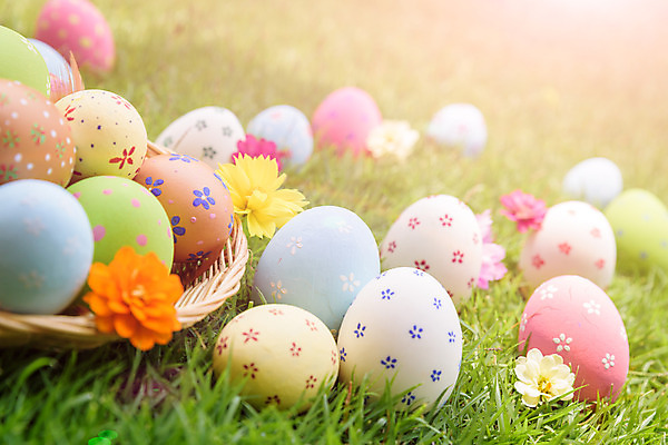 포토 JPG 해외이미지 전통 디자인 계절 꽃 행복 종교 음식 백그라운드 컨셉 자연 하늘 휴가 부활절 사람없음 야외 장식 초록색 파란색 컬러풀 노란색 바구니 우주 계란 축제 봄 흰색 축하 그리기 그룹 닫기 4월 심볼 사냥 줄서기 해외202004 해외포토 식물 기념일 감정 컬러 모션 알 날짜 생태계 파일형식 이미지허브