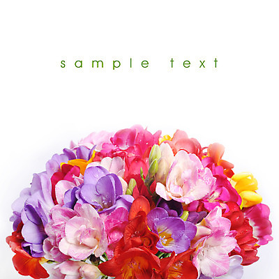 포토 JPG 해외이미지 식물 계절 꽃잎 꽃 잎 꽃무늬 자연 수채화 부활절 사랑 사람없음 야외 초록색 여름 빛 우주 정원 봄 투명 개화 우아함 작음 자주색 제비꽃 향수 속도 만족 아로마 내추럴 고립 땅바닥 사프란 특별함 해외202004 해외포토 기념일 감정 컬러 컨셉 무늬 바닥 화장품 크기 향신료 생태계 파일형식 이미지허브