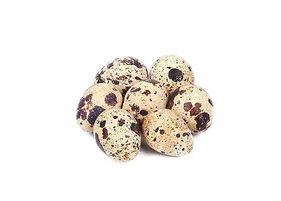 포토 JPG 해외이미지 동물 1 음식 백그라운드 다이어트 재료 자연 조류 건강 요리 사람없음 빛 농장 갈색 계란 치킨 껍질 흰색 신선 원형 그룹 맛 아침식사 상품 작음 먹기 오브젝트 싱글 흰배경 유기농 날것 노른자 내추럴 고립 단백질 메추리 생식 식품점 암탉 해외202004 해외포토 도형 웰빙 컬러 컨셉 농업 모션 상점 알 식사 닭 크기 암컷 생태계 닭고기요리 영양소 파일형식 이미지허브