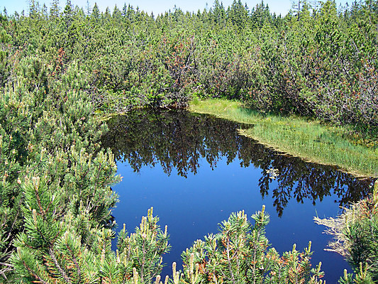 포토 JPG 해외이미지 나무 식물 구름 계절 공원 호수 잎 자연 유리 하늘 산 파노라마 풍경 사람없음 야외 초록색 물 여름 파란색 강 컬러풀 반사 환경 침묵 봄 거울 나뭇가지 시골 연못 소나무 분위기 숲 땅 체코 일반 내추럴 해외202004 해외포토 자연요소 공공시설 유럽 컬러 컨셉 재질 촬영기법 소리 생태계 파일형식 이미지허브