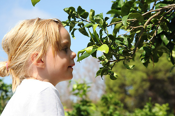 포토 JPG 해외이미지 백인 여자 행복 얼굴 어린이 자연 한명 사람 금발 걸음마 천진난만 해외202004 해외포토 서양인 1 헤어스타일 감정 컨셉 모션 신체부위 생태계 파일형식 이미지허브