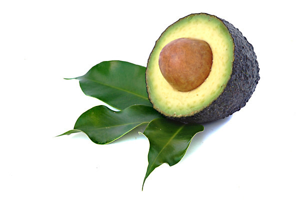 포토 JPG 해외이미지 음식 백그라운드 잎 과일 부분 사람없음 초록색 바위 흰색 닫기 맛 아보카도 고립 숙성 이국적 해외202004 해외포토 식물 컬러 컨셉 모션 돌_바위 파일형식 이미지허브