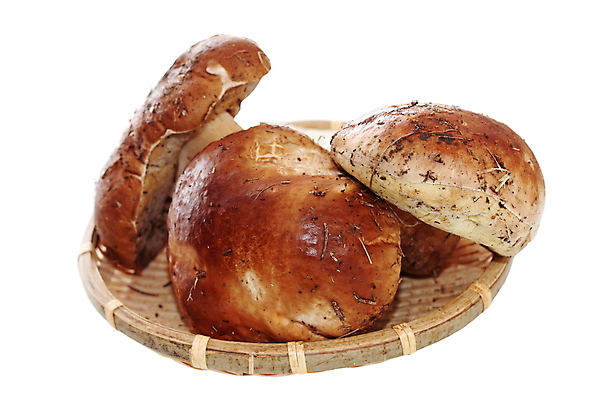 포토 JPG 해외이미지 식물 접시 계절 유럽 음식 백그라운드 단풍 다이어트 재료 자연 건강 사람없음 야외 갈색 바구니 환경 버섯 침묵 가을 흰색 신선 최고 그룹 맛 숲 유기농 날것 내추럴 고립 곰팡이 그물버섯 번 식용 페니 해외202004 해외포토 식기 웰빙 나라 빵 컬러 컨셉 잎 동전 소리 생태계 파일형식 이미지허브