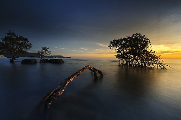 포토 JPG 해외이미지 바다 여행 백그라운드 오렌지 자연 조류 하늘 산 풍경 사람없음 야외 물 여름 파란색 빛 컬러풀 태양 일출 일본 황혼 일몰 새벽 가을 도시 만 저녁 수평선 해외202004 해외포토 자연요소 동물 계절 아시아 컬러 과일 노을 야간 생태계 파일형식 이미지허브