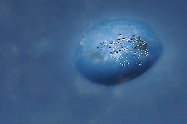 포토 JPG 해외이미지 백그라운드 컨셉 겨울 표면 추상 사람없음 물 파란색 빛 냉동 얼음 거품 추위 신선 투명 액체 시원함 순수 질감 빙하 여의주 터키석 특별함 효과 해외202004 해외포토 자연요소 계절 컬러 무늬 보석 파일형식 이미지허브