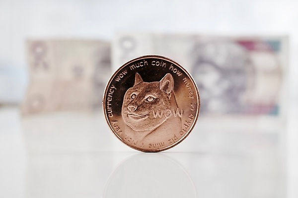 포토 JPG 해외이미지 동물 돈 사람없음 금융 고양이 저축 무역 투자 결제 해외202004 해외포토 산업 비즈니스 포유류 경제 반려동물 재산 파일형식 이미지허브