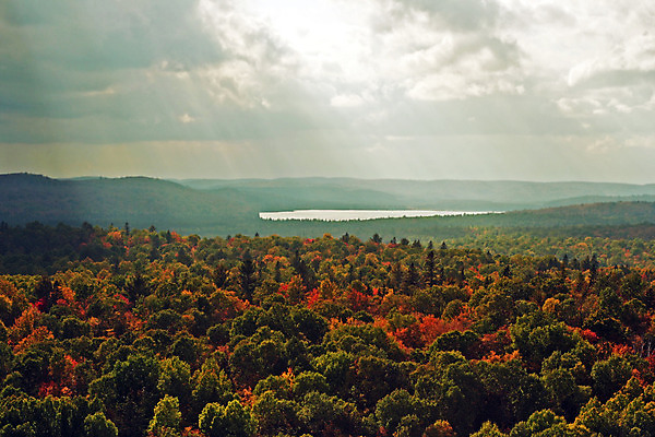 포토 JPG 해외이미지 나무 구름 계절 공원 호수 잎 캐나다 오렌지 자연 날씨 조명 풍경 경사 사람없음 야외 빨간색 초록색 빛 광선 가을 소나무 숲 언덕 슬로프 내추럴 해외202004 해외포토 자연요소 식물 공공시설 컬러 북아메리카 과일 스키장 생태계 파일형식 이미지허브