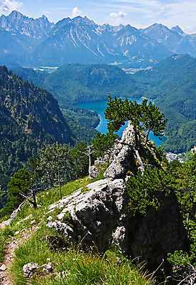 포토 JPG 해외이미지 구름 호수 하늘 산 독일 풍경 사람없음 초록색 여름 파란색 마을 숲 그림 바이에른 해외202004 해외포토 자연요소 계절 유럽 컬러 파일형식 이미지허브