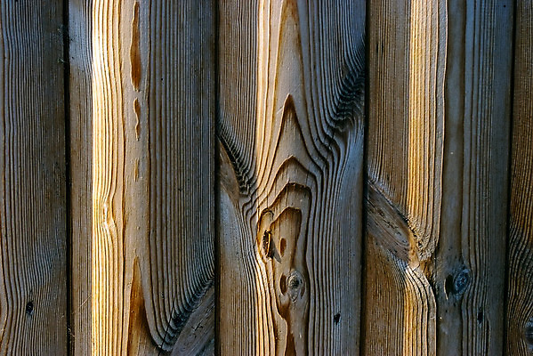 포토 JPG 해외이미지 나무 벽 백그라운드 패턴 자연 표면 날씨 바닥 프레임 사람없음 목재 갈색 검은색 어둠 줄무늬 수확 시골 소나무 판넬 얼룩 거친 우아함 널 매끈함 낟알 책상 질감 복고 매듭 호두 결 내추럴 구식 그런지 수목 옛날 파케트 해외202004 해외포토 식물 컬러 가구 컨셉 무늬 농업 재료 견과류 감각 생태계 파일형식 이미지허브