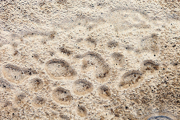 포토 JPG 해외이미지 지구 물결 모래 파도 백그라운드 이동 자연 표면 추상 건조 사람없음 야외 모래사장 갈색 노란색 흙 회색 젖음 사막 점 구멍 거친 황무지 떨어짐 땅 빗방울 모래언덕 부식 질감 웨이브 먼지 지역 진흙 내추럴 고체 땅바닥 자취 해외202004 해외포토 바다 컬러 컨셉 무늬 바닥 비_날씨 언덕 생태계 파일형식 이미지허브