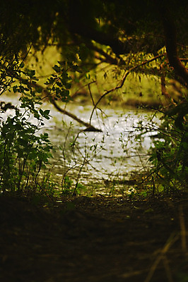 포토 JPG 해외이미지 나무 영어 공원 유럽 호수 백그라운드 자연 영국 잉글랜드 산 풍경 사람없음 목재 초록색 물 여름 파란색 강 힘 봄 산책로 소나무 바 큼 돌산 장면 지역 S 종료 뱃놀이 양치류 왕국 유럽연합 컴브리아주 해외202004 해외포토 자연요소 식물 문자 알파벳 계절 공공시설 나라 길 컬러 배_교통 재료 전통놀이 크기 생태계 파일형식 이미지허브