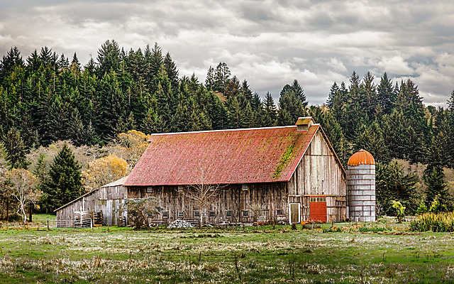 포토 JPG 해외이미지 외관 벽 백그라운드 밭 농업 건축양식 자연 하늘 주택 풍경 사람없음 야외 내부 건물 목재 여름 빛 농가 농장 문 목장 방 수확 골동품 시골 땅 버리기 복고 캘리포니아 헛간 외양간 그런지 깨짐 밭일 썩음 옛날 판잣집 해외202004 해외포토 나무 건축물 계절 건축 산업 컨셉 재료 모션 미국 생태계 저장고 파일형식 이미지허브