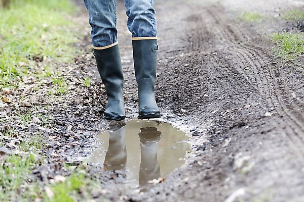 포토 JPG 해외이미지 라이프스타일 남자 도로 길 밭 농업 부분 자연 놀이 부츠 서기 사람 소년 성인 사람없음 야외 초록색 물 농작물 농장 농경지 반사 노란색 점프 버섯 흙 거울 젖음 가을 시골 쌍 농부 숲 땅 수집 진흙 고무 방법 밭일 오프로드 조작 해외202004 해외포토 자연요소 직업 계절 산업 어린이 컬러 신발 교통시설 모션 생활 생태계 파일형식 이미지허브