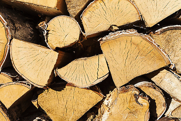 포토 JPG 해외이미지 모양 산업 벽 백그라운드 십자가 겨울 패턴 부분 자연 추상 건조 사람없음 목재 갈색 쌓기 환경 에너지 시골 반지 소나무 원형 거친 주식 숲 장작 자르기 묘사 질감 통나무 나무껍질 잡동사니 흙더미 내추럴 수목 옛날 노화 개조 해외202004 해외포토 도형 나무 계절 컬러 컨셉 무늬 재료 장신구 모션 금융 흙 껍질 생태계 파일형식 더미 이미지허브