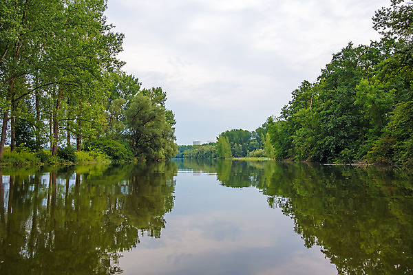 포토 JPG 해외이미지 나무 식물 섬 사람없음 물 강 힘 역 숲 원자력 해외202004 해외포토 자연요소 교통시설 에너지 파일형식 이미지허브