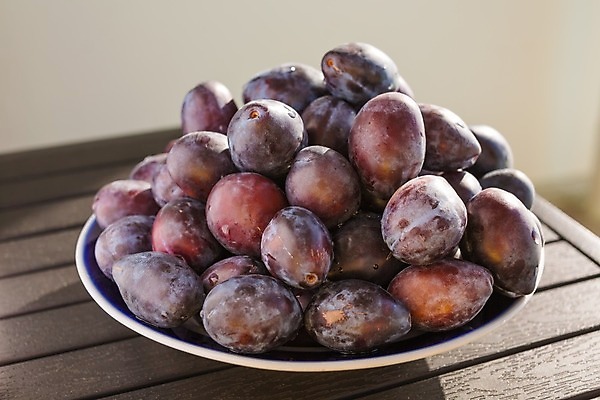 포토 JPG 해외이미지 식물 계절 열매 음식 과일 탁자 건강 식이요법 요리 사람없음 목재 여름 파란색 상점 금속 주방 정원 어둠 수확 가을 신선 원형 가시 사발 시장 달콤 맛 먹기 유기농 자두 흙더미 내추럴 그런지 숙성 채식주의자 해외202004 해외포토 도형 나무 웰빙 컬러 가구 컨셉 농업 재료 모션 재질 흙 사기그릇 채식 파일형식 더미 이미지허브