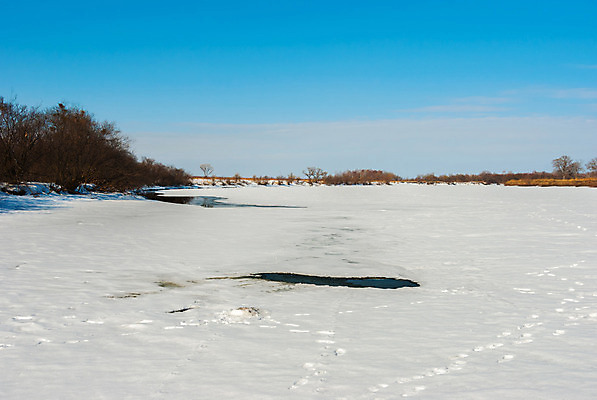 포토 JPG 해외이미지 나무 계절 겨울 밭 자연 하늘 날씨 풍경 사람없음 야외 강 냉동 얼음 추위 안개 흰색 숲 서리 해외202004 해외포토 자연요소 식물 컬러 농업 생태계 파일형식 이미지허브