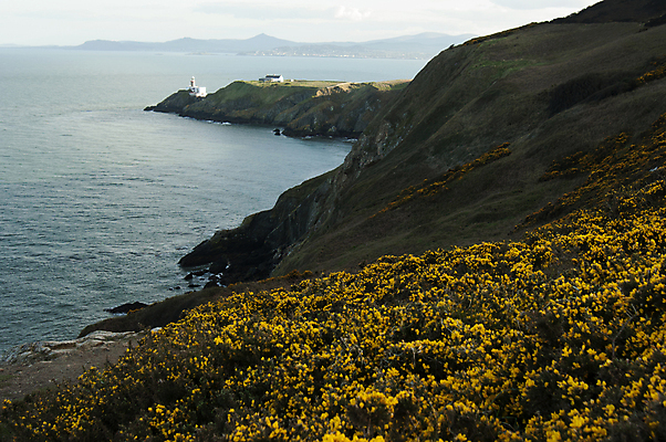 포토 JPG 해외이미지 구름 꽃 유럽 길 바다 자국 자연 산 등대 사람없음 여름 태양 맑음 봄 신호등 언덕 만족 시력 아일랜드 해외202004 해외포토 자연요소 식물 계절 감정 나라 날씨 생태계 파일형식 이미지허브