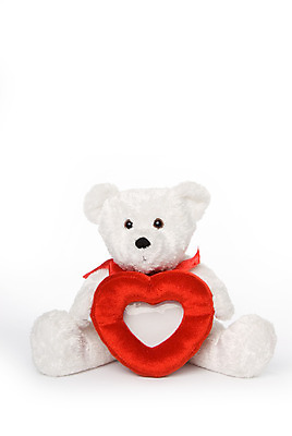 포토 JPG 해외이미지 액자 곰 결혼식 발렌타인데이 사랑 사람없음 빨간색 흰색 하트 약혼 해외202004 해외포토 모양 동물 감정 컬러 결혼 포유류 데이이벤트 약속 파일형식 이미지허브