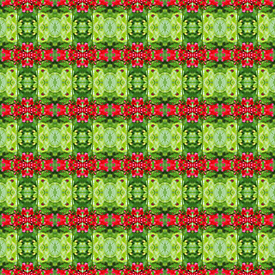 포토 JPG 해외이미지 식물 꽃 분홍색 백그라운드 잎 꽃무늬 패턴 자연 벽지 추상 사람없음 장식 빨간색 초록색 여름 컬러풀 환경 정원 봄 벚꽃 나뭇가지 신선 즐거움 해외202004 해외포토 나무 계절 감정 컬러 무늬 생태계 파일형식 이미지허브