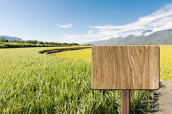 포토 JPG 해외이미지 식물 구름 배너 백그라운드 컨셉 농업 자연 하늘 밥 풍경 사람없음 야외 목재 파란색 농작물 농장 노란색 우주 마을 환경 고요 공백 수확 시골 메시지 널 땅 사인 내추럴 논밭 평야 카피스페이스 해외202004 해외포토 자연요소 나무 산업 음식 컬러 밭 재료 논 생태계 파일형식 이미지허브