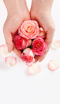 포토 JPG 해외이미지 손 꽃잎 꽃 분홍색 꽃다발 결혼 백그라운드 꽃무늬 신체 사람 사람없음 치료 장미 우주 상점 스파 화장품 시골 신선 잡기 마사지 닫기 손톱관리 다발 꽃집 피부 서비스 원예 아로마 부드러움 약혼 보여주기 아로마테라피 테라피 내추럴 돌봄 바디케어 원예사 해외202004 해외포토 식물 직업 컬러 무늬 의학 모션 이벤트 취미 신체부위 뷰티 감각 네일아트 약속 파일형식 이미지허브