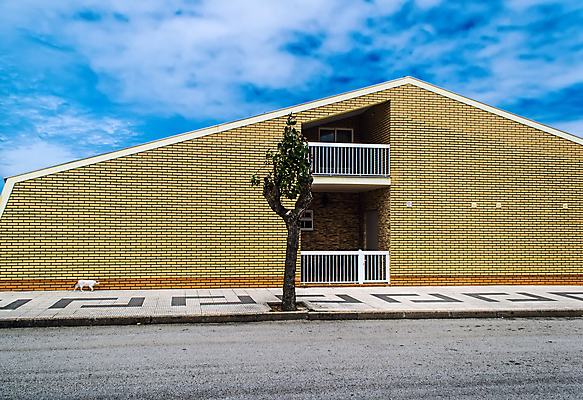 포토 JPG 해외이미지 나무 동물 구름 1 도로 길 백그라운드 오렌지 건축양식 하늘 표면 벽돌 거리 주택 사람없음 건물 초록색 여름 맑음 고양이 산책 발코니 도시 보행로 오솔길 아스팔트 시골집 타운 방법 특별함 혼자 해외202004 해외포토 자연요소 식물 건축물 계절 건축 컬러 컨셉 과일 포유류 교통시설 날씨 휴식 반려동물 파일형식 이미지허브