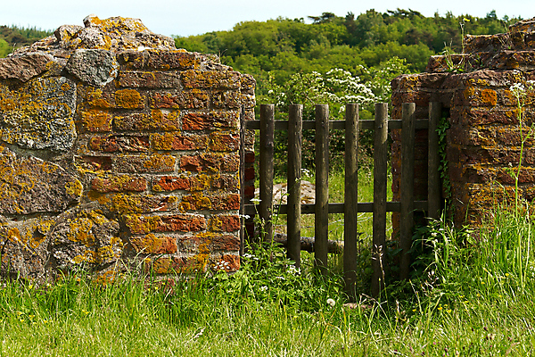 포토 JPG 해외이미지 나무 전통 유럽 길 벽 여행 휴가 벽돌 자물쇠 덴마크 안전 사람없음 야외 목재 가로 초록색 울타리 문 걷기 정원 봄 수확 시골 시간 보행자 중세 역사 재산 보호 오솔길 입장 향수 부식 폐허 통로 질감 복고 보안 대문 과거 장면 암초 구식 옛날 해외202004 해외포토 식물 계절 나라 컬러 컨셉 농업 재료 모션 북유럽 금융 담장 화장품 파일형식 이미지허브