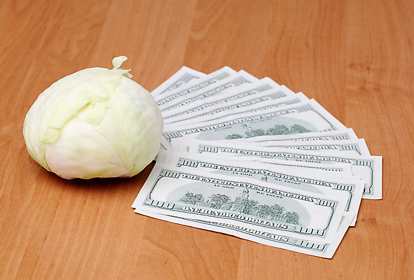 포토 JPG 해외이미지 식물 1 꽃 종이 음료 음식 백그라운드 컨셉 잎 돈 농업 채소 과일 비즈니스 자연 아이디어 사람없음 건물 가로 초록색 금융 숫자 달러 미국 성장 흰색 신선 원형 그룹 재산 유연 심볼 생물학 양배추 날것 채식주의자 해외202004 해외포토 도형 문자 건축물 교육 산업 컬러 북아메리카 경제 생태계 채식 파일형식 이미지허브