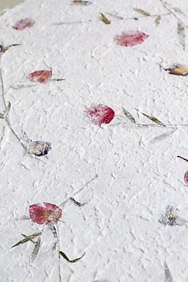 포토 JPG 해외이미지 식물 손 디자인 꽃 종이 백그라운드 잎 꽃무늬 텍스트 자연 벽지 표면 프레임 미술 사람없음 장식 초록색 노란색 우주 공백 재활용 회색 수확 흰색 신용카드 거친 편지 유기농 질감 모음 섬유 시트 내추럴 그런지 스크랩북 옛날 핸드메이드 불규칙 해외202004 해외포토 웰빙 컬러 컨셉 무늬 농업 문화예술 한글 신체부위 금융 직물 친환경 생태계 파일형식 이미지허브