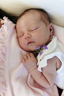 포토 JPG 해외이미지 백인 손 남자 꽃 아들 어린이 병원 사랑 한명 건강관리 환자 아기 신생아 잠 작음 감시 돌봄 천진난만 해외202004 해외포토 서양인 식물 1 감정 컨셉 의학 가족 모션 건강 관리 사람 신체부위 크기 파일형식 이미지허브