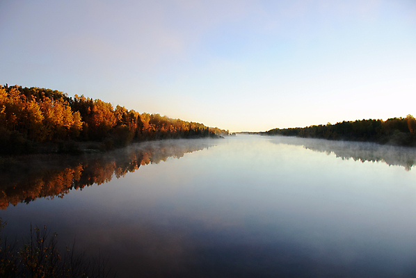 포토 JPG 해외이미지 나무 잎 자연 사람없음 초록색 물 강 일출 환경 가을 개울 황무지 숲 내추럴 해외202004 해외포토 자연요소 식물 계절 컬러 노을 생태계 파일형식 이미지허브