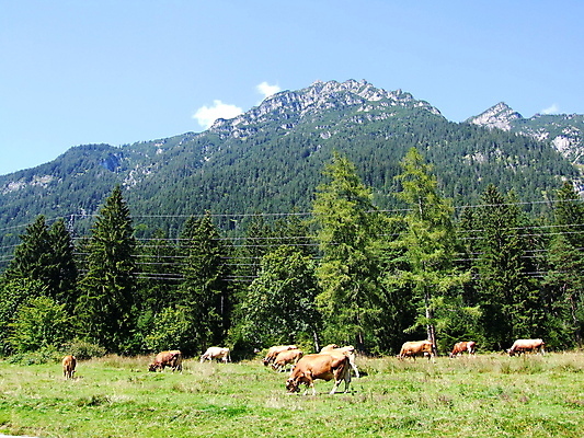 포토 JPG 해외이미지 사람없음 해외202004 해외포토 파일형식 이미지허브