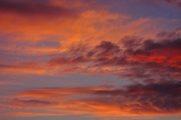 포토 JPG 해외이미지 구름 계절 백그라운드 오렌지 자연 하늘 바람 날씨 풍경 사람없음 야외 가로 빨간색 여름 파란색 빛 우주 환경 보라색 활발 회색 자유 저녁 제비꽃 장면 폭풍 흐림 해외202004 해외포토 자연요소 꽃 컬러 컨셉 과일 야간 생태계 파일형식 이미지허브